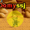 domyssj
