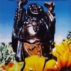 LIon_Hedge